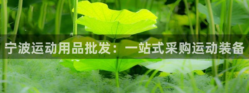 欧陆娱乐平台登录：宁波运动用品批发：一站式采购运动装