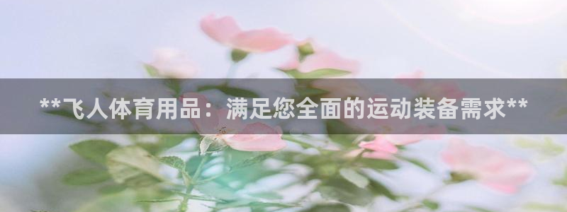 欧陆娱乐脚本：**飞人体育用品：满足您全面的运动装备