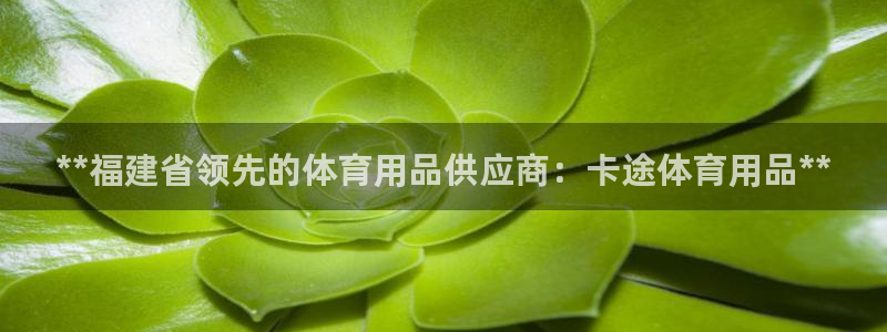 欧陆娱乐app打不开怎么回事：**福建省领先的体育用
