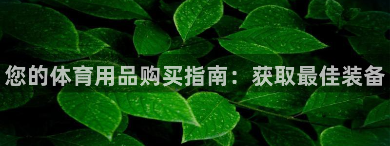 欧陆娱乐官网下载安装最新版：您的体育用品购买指南：获