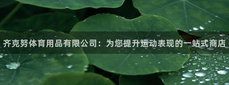 欧陆娱乐访问：齐克努体育用品有限公司：为您提升运动表