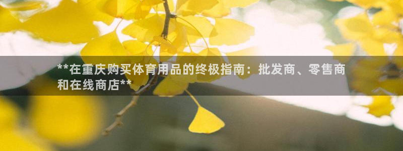 欧陆娱乐微信：**在重庆购买体育用品的终极指南：批发