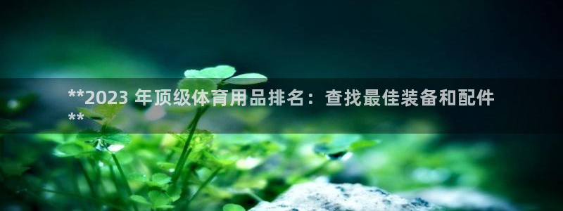 欧陆娱乐登录注册平台下载：**2023 年顶级体育用