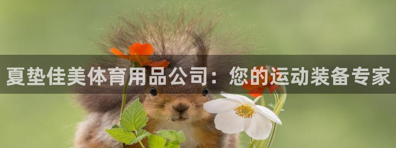 欧陆娱乐挂机项目：夏垫佳美体育用品公司：您的运动装备