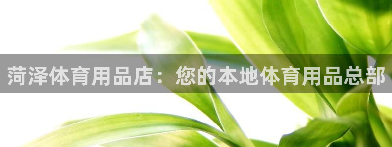欧陆娱乐怎么注册帐号：菏泽体育用品店：您的本地体育用
