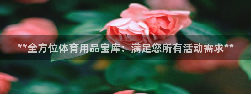 欧陆娱乐登陆官网网址：**全方位体育用品宝库：满足您