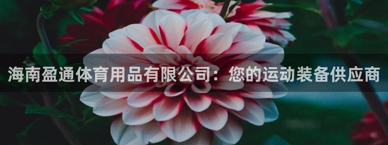 欧陆娱乐怎么注册账号登录：海南盈通体育用品有限公司：