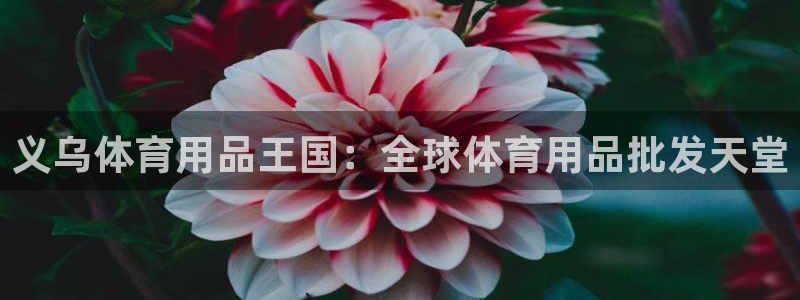 欧陆娱乐不让提现：义乌体育用品王国：全球体育用品批发