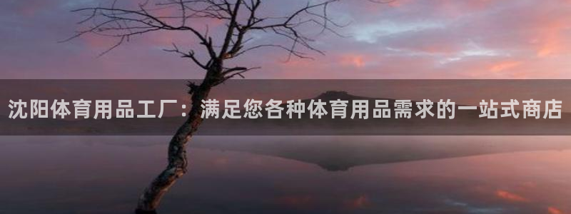 欧陆娱乐是正规平台吗安全吗可靠吗知乎：沈阳体育用品工