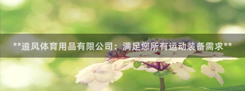 重庆欧陆娱乐有限公司地址：**追风体育用品有限公司：