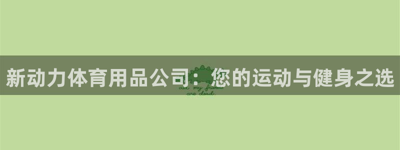 欧陆娱乐登录测速网站：新动力体育用品公司：您的运动与健身之选