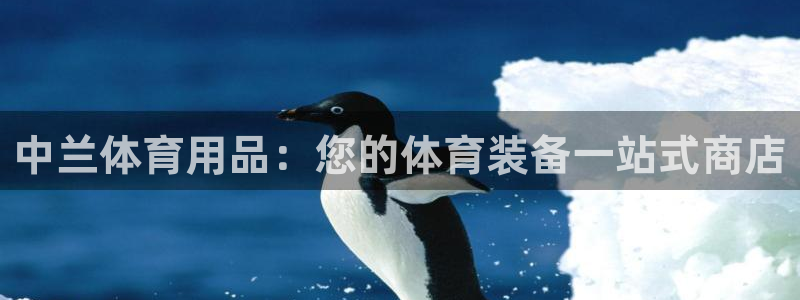 欧陆娱乐代理多少个点位可以赚钱：中兰体育用品：您的体