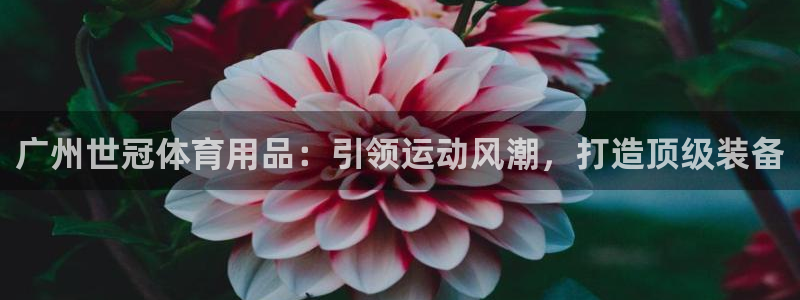欧陆娱乐能赚钱吗：广州世冠体育用品：引领运动风潮，打
