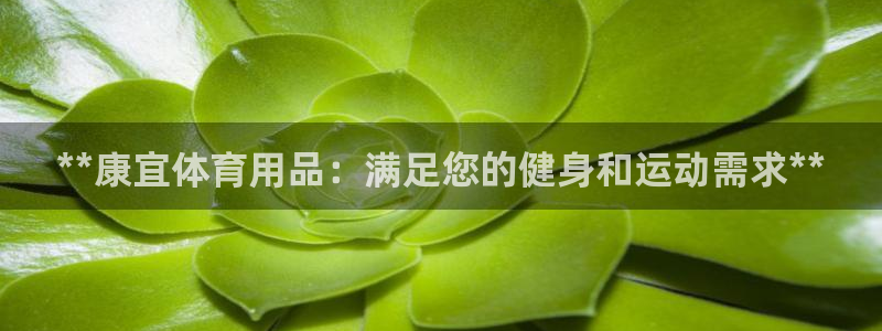 欧陆商城：**康宜体育用品：满足您的健身和运动需求*