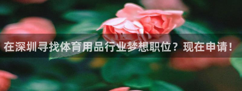 欧陆娱乐测试官网：在深圳寻找体育用品行业梦想职位？现在申请！