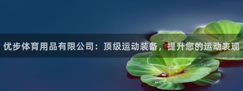 欧陆娱乐打什么方案：优步体育用品有限公司：顶级运动装