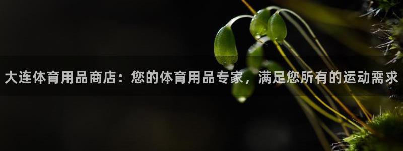 欧陆娱乐怎么注册帐号登录：大连体育用品商店：您的体育用品专家
