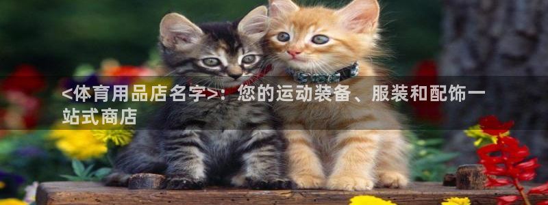 欧陆娱乐的故事有哪些：<体育用品店名字>：您的运动装