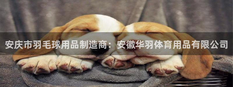欧陆娱乐计划app官方正版安装下载苹果：安庆市羽毛球