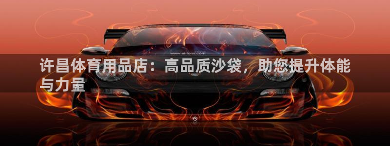 欧陆娱乐平台官网下载：许昌体育用品店：高品质沙袋，助