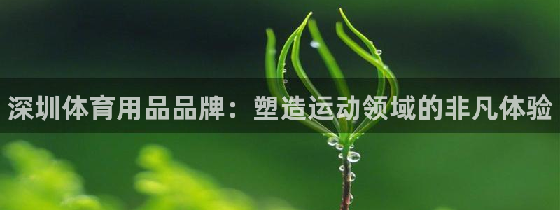 欧陆娱乐登录平台官网：深圳体育用品品牌：塑造运动领域