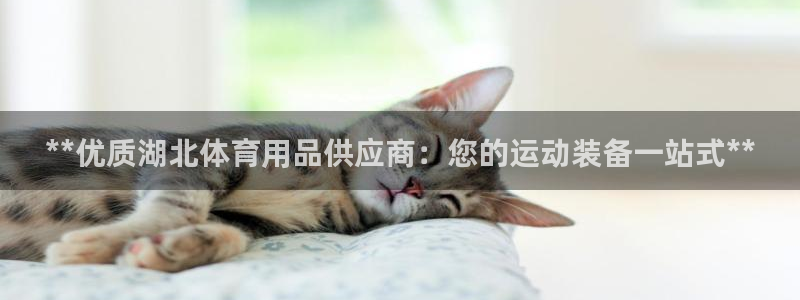 欧陆娱乐注册芯7o777ts=0：**优质湖北体育用
