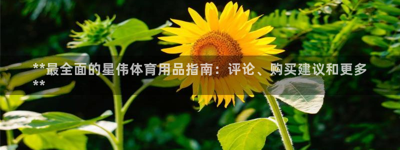 欧陆娱乐代理 贴吧官网：**最全面的星伟体育用品指南