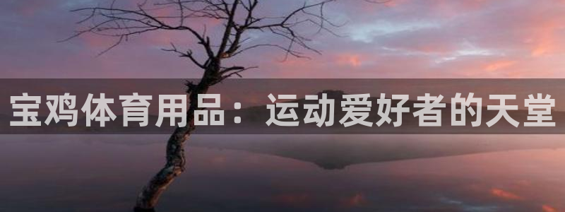 欧陆娱乐注册链接怎么弄的：宝鸡体育用品：运动爱好者的