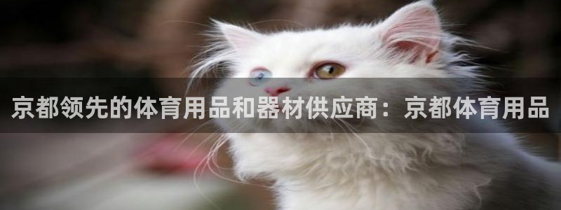 欧陆娱乐微信众：京都领先的体育用品和器材供应商：京都体育用品