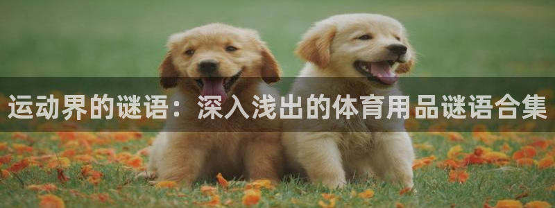 欧陆娱乐总代理：运动界的谜语：深入浅出的体育用品谜语