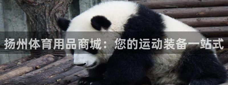 欧陆娱乐平台咋样啊赚钱：扬州体育用品商城：您的运动装