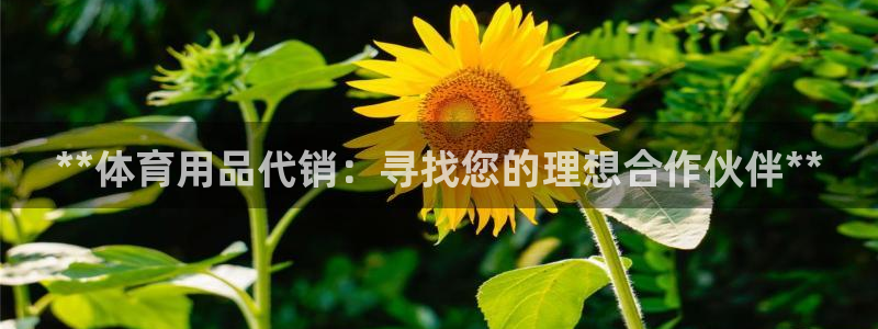 欧陆娱乐登陆平台官网：**体育用品代销：寻找您的理想