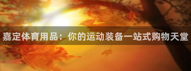 欧陆娱乐测速软件下载：嘉定体育用品：你的运动装备一站