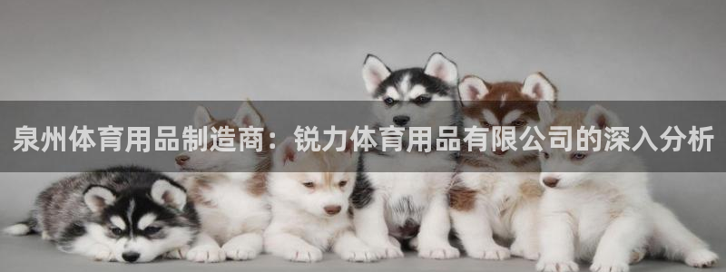 欧陆娱乐是那个旗下的品牌：泉州体育用品制造商：锐力体
