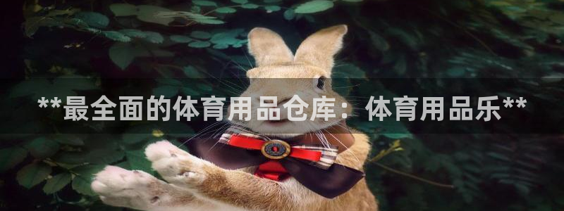 欧陆娱乐能不能玩手游：**最全面的体育用品仓库：体育