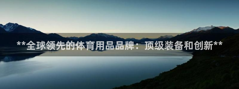 欧陆娱乐平台咋样赚钱快：**全球领先的体育用品品牌：