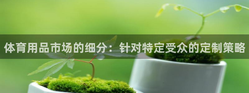 欧陆娱乐挂机项目：体育用品市场的细分：针对特定受众的