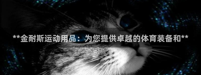 欧陆娱乐app攻略大全：**金耐斯运动用品：为您提供