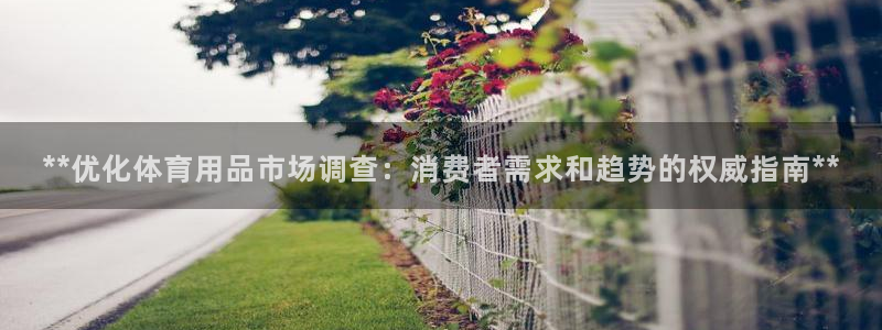 欧陆娱乐登录测速网站：**优化体育用品市场调查：消费