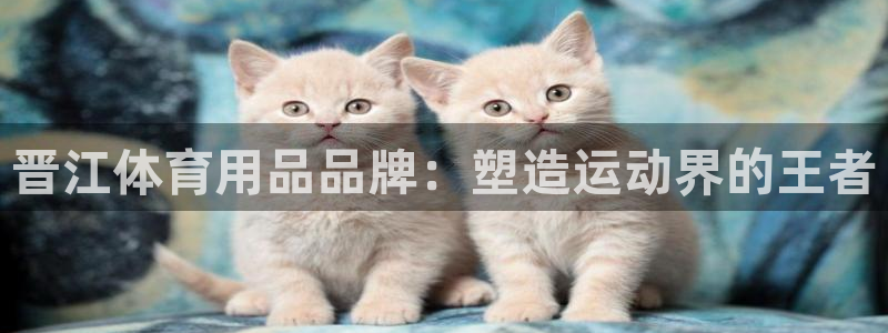 欧陆娱乐提现两百万：晋江体育用品品牌：塑造运动界的王