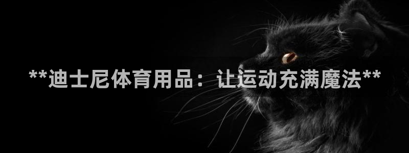 重庆欧陆娱乐有限公司怎么样：**迪士尼体育用品：让运