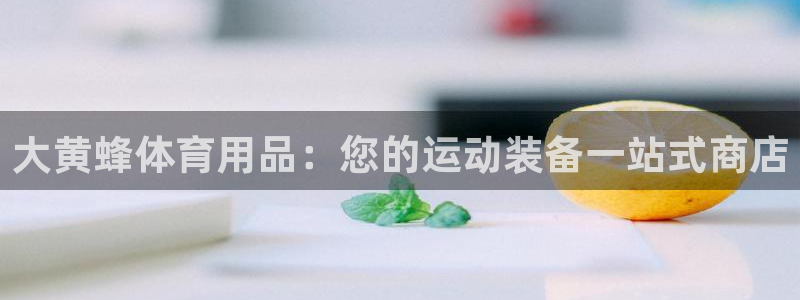 欧陆娱乐平台咋样啊知乎：大黄蜂体育用品：您的运动装备