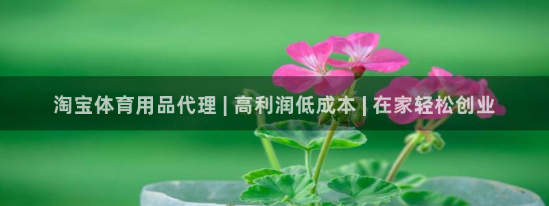 欧陆娱乐登录测速软件：淘宝体育用品代理 | 高利润低