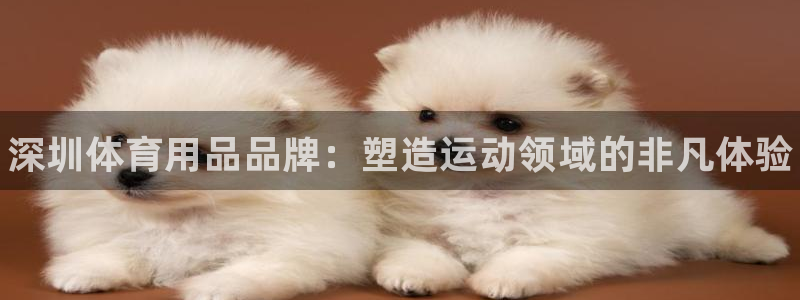 欧陆是什么平台：深圳体育用品品牌：塑造运动领域的非凡体验