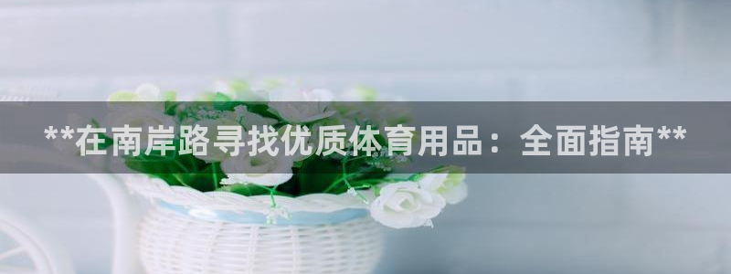 欧陆娱乐登陆官网网址：**在南岸路寻找优质体育用品：