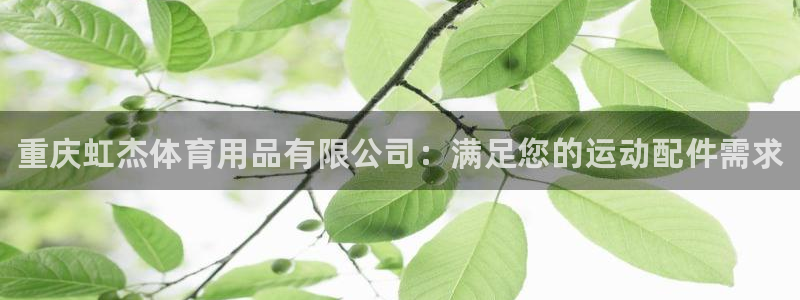 欧陆娱乐平台咋样赚钱快：重庆虹杰体育用品有限公司：满