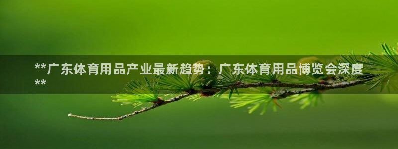 欧陆娱乐app打不开怎么回事：**广东体育用品产业最