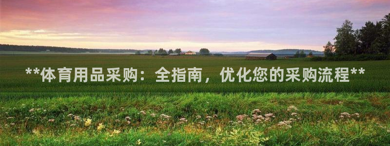 欧陆娱乐代理多少个点位可以赚钱：**体育用品采购：全