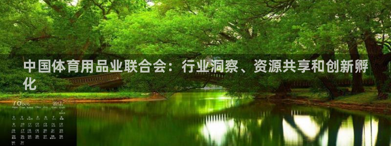 欧陆娱乐总代：中国体育用品业联合会：行业洞察、资源共