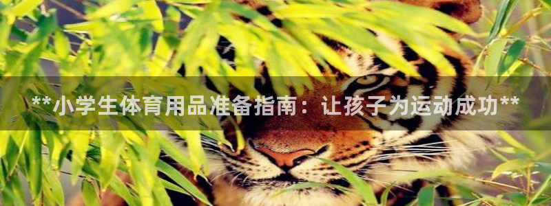 欧陆娱乐注册代理多少钱一个月：**小学生体育用品准备